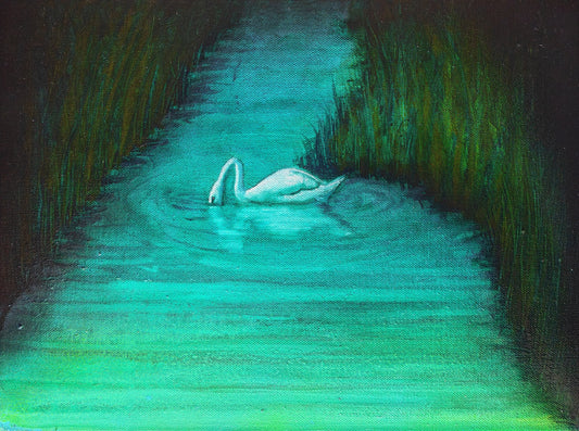 Night Swan - Oil on canvas - 30 x 40cm